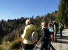 Pogled v dolino
