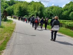In skozi urejene, lepe vasi